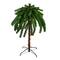 Northlight; 4ft. Pre-Lit Artificial Tropical Outdoor Palm Christmas Tree, Multicolor Lights; Category:Shop All Christmas Trees; Image:2